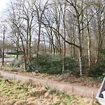 דירה Wijkd Leende