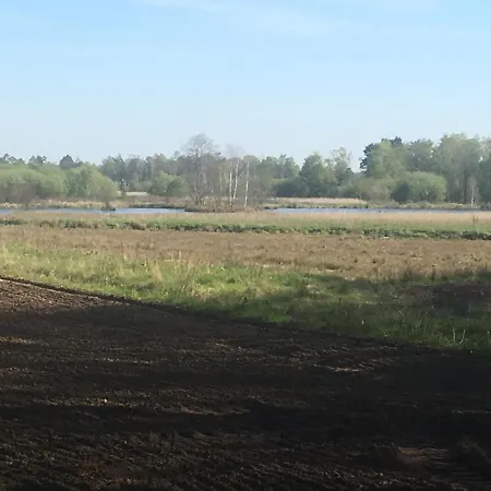 Wijkd Apartman *