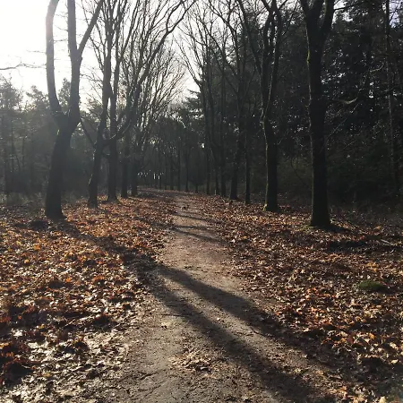 Wijkd Apartman Leende