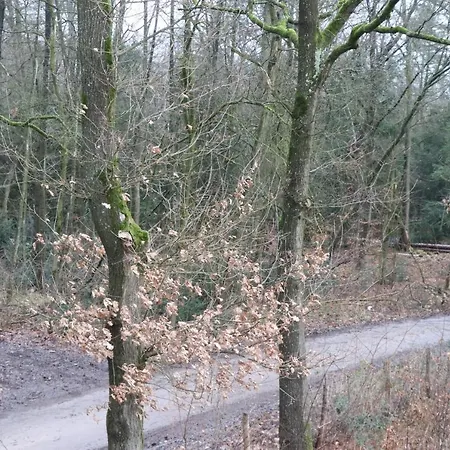 Wijkd Lejlighed *