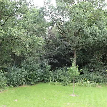 Wijkd * Leende