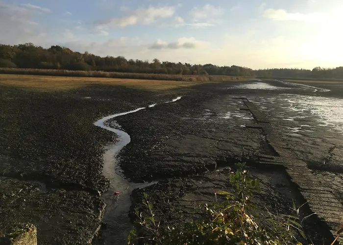 Appartement Wijkd Leende
