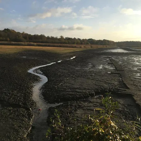 Lägenhet Wijkd Leende
