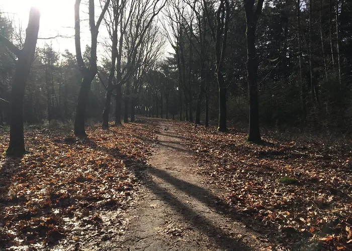 Wijkd Apartamento Leende